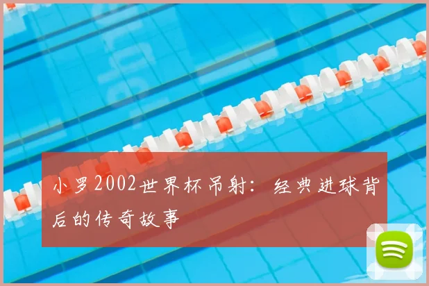 小罗2002世界杯吊射：经典进球背后的传奇故事