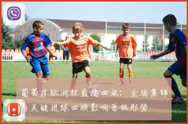 葡萄牙欧洲杯直播回放：全场集锦与关键进球回顾影响晋级形势