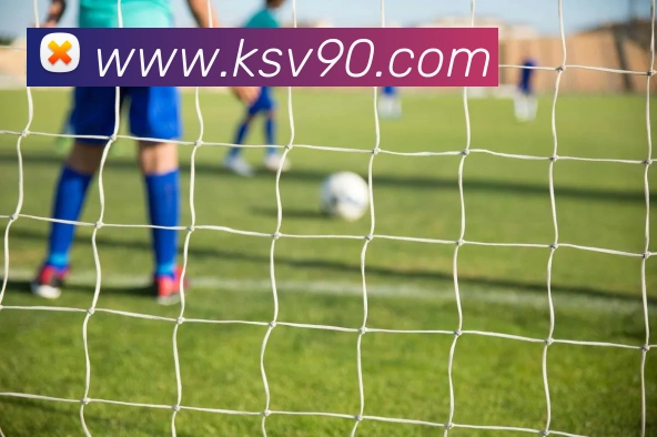 开云手机在线登录界面平台生态图